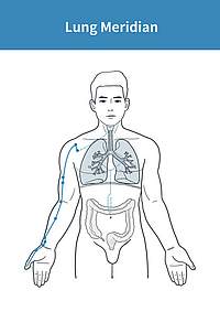Lungenmeridian