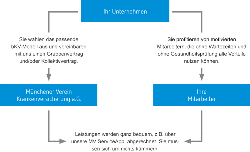 Grafik - So funktioniert die bkV | Münchener Verein